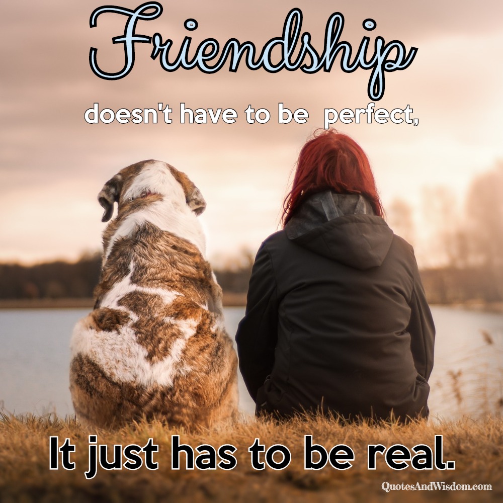 QuotesAndWisdom.com - Quote: Friendship does not have to be perfect....