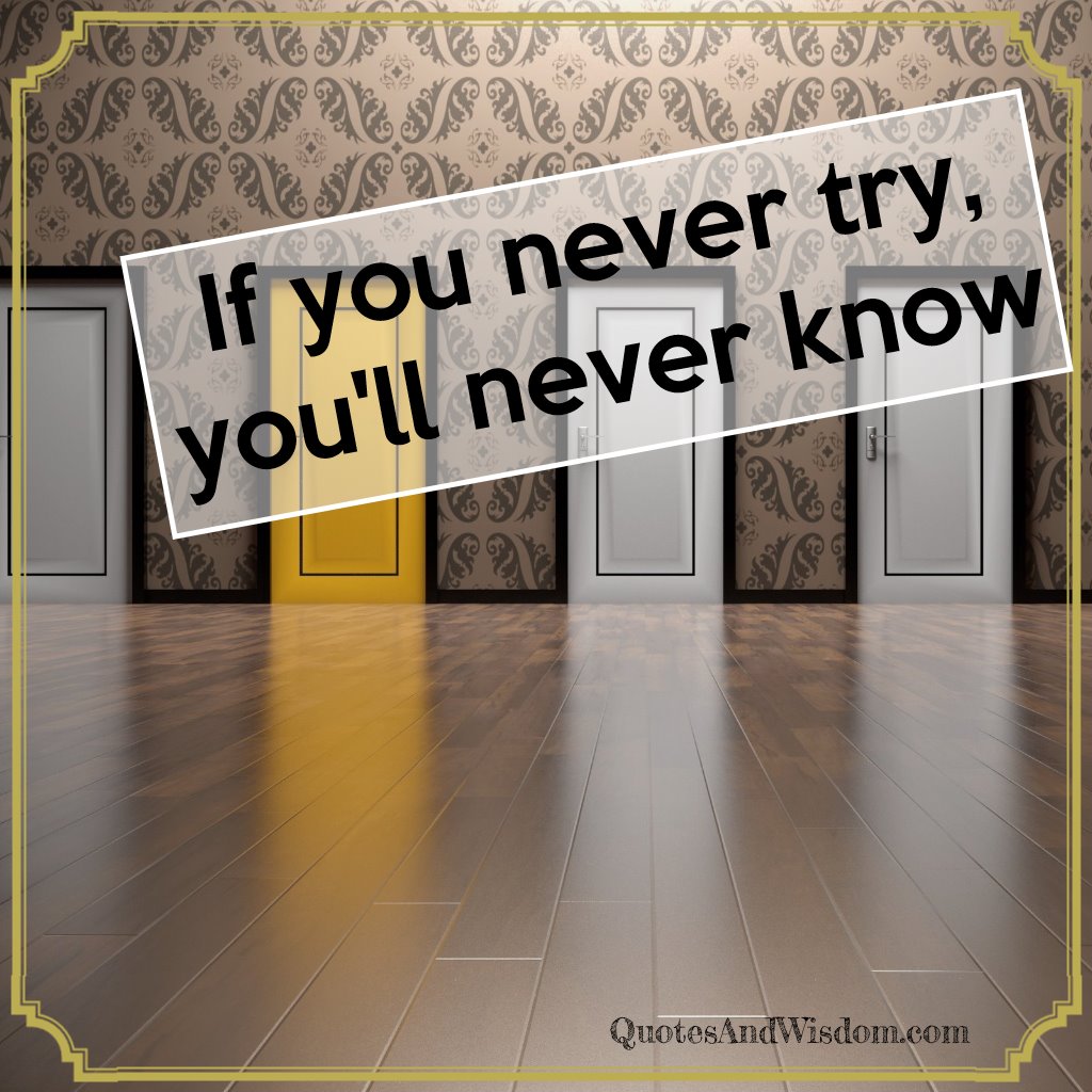 We ll never know. If you never try you'll never know